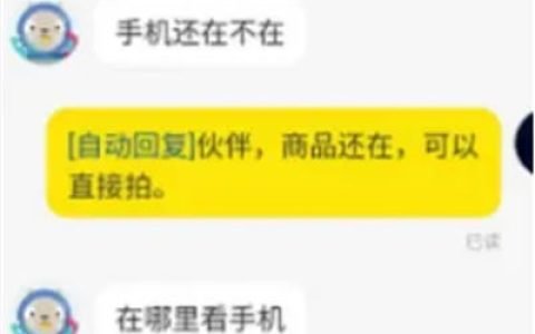 学了个闲鱼项目，几天成交近千块