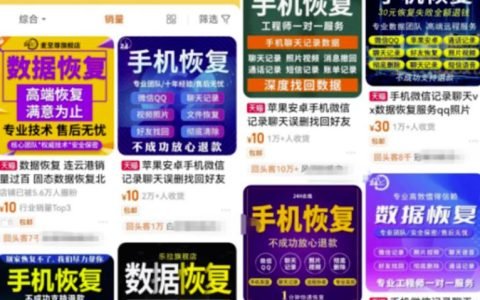 数据恢复翻倍月入，你敢试吗？轻松达到3000+