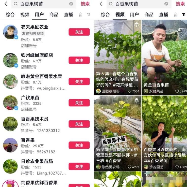 抖音三农领域带货副业思路，可以长期盈利的赛道