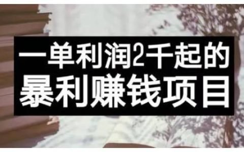 最新蓝海项目，每日利润2000起！
