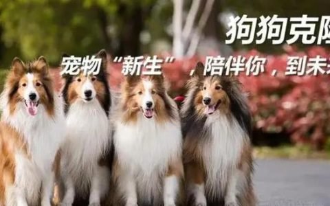 克隆猫狗的蓝海暴利市场