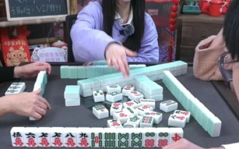 野路子搞钱项目之直播打麻将！