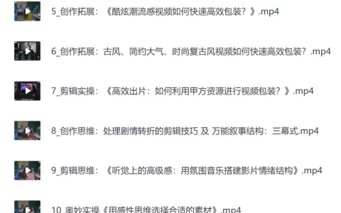 从新手到大神：剪辑师实战就业班，深度培养创作思维（17GB）