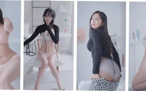 韩国美女模特/内衣/丝袜 试穿/换衣合集，4K超高清画质，共28GB