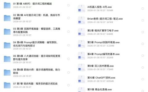AI提示词工程+大模型多场景实战(10GB)