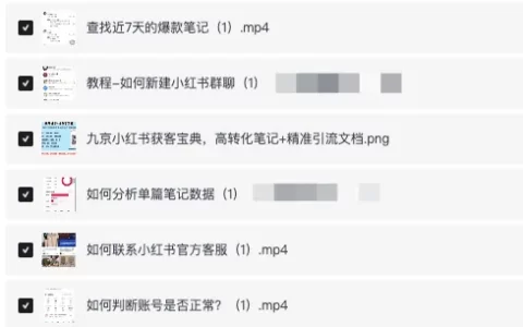九京小红书获客宝典