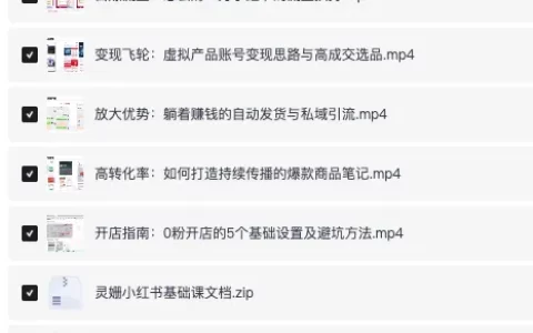 灵姗小红书虚拟店铺私教高阶课