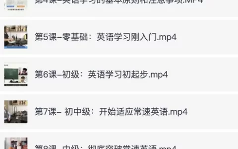 《影响100万人的英语学习方法》