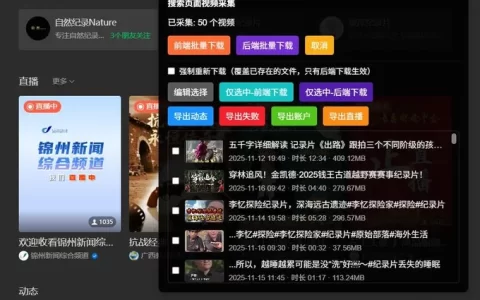 微信公众号视频下载工具