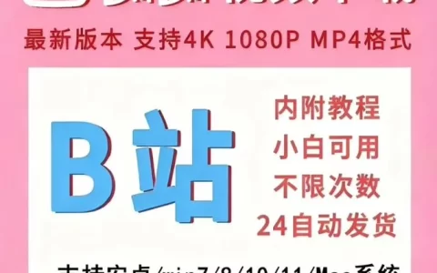 B站视频下载工具