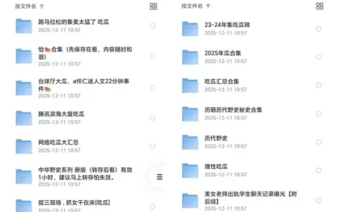 史诗级吃瓜档案全集