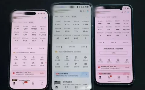 小红书虚拟矩阵项目
