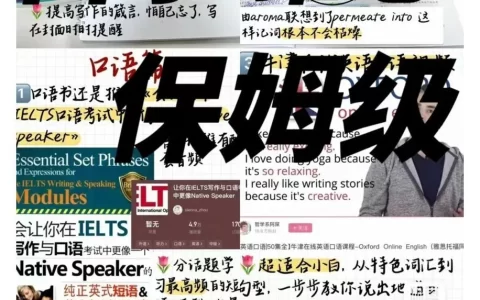 雅思资料全套（含学习计划、备考资料）